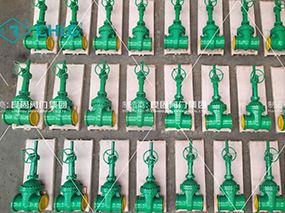 中國制造護(hù)航中亞能源｜良固閥門參與烏茲別克斯坦蘇坎達(dá)亞1600兆瓦聯(lián)合循環(huán)電站項目